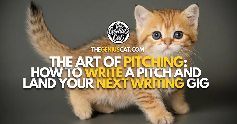 how to write a pitch