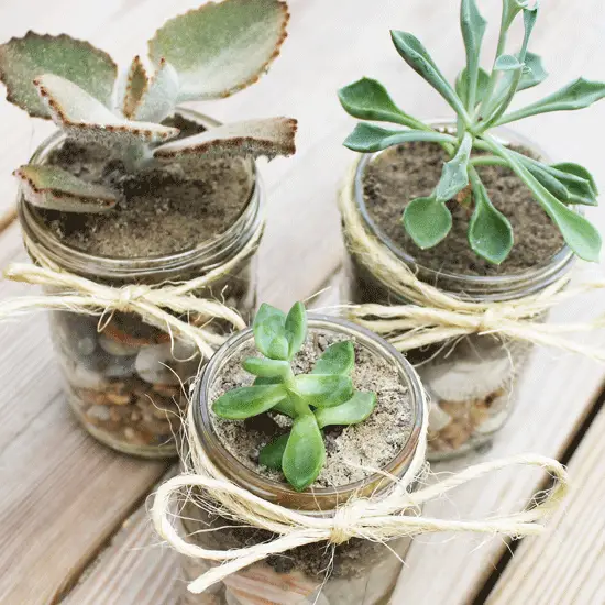 18 Profitable Mason Jar Crafts to Sell - The Genius Cat