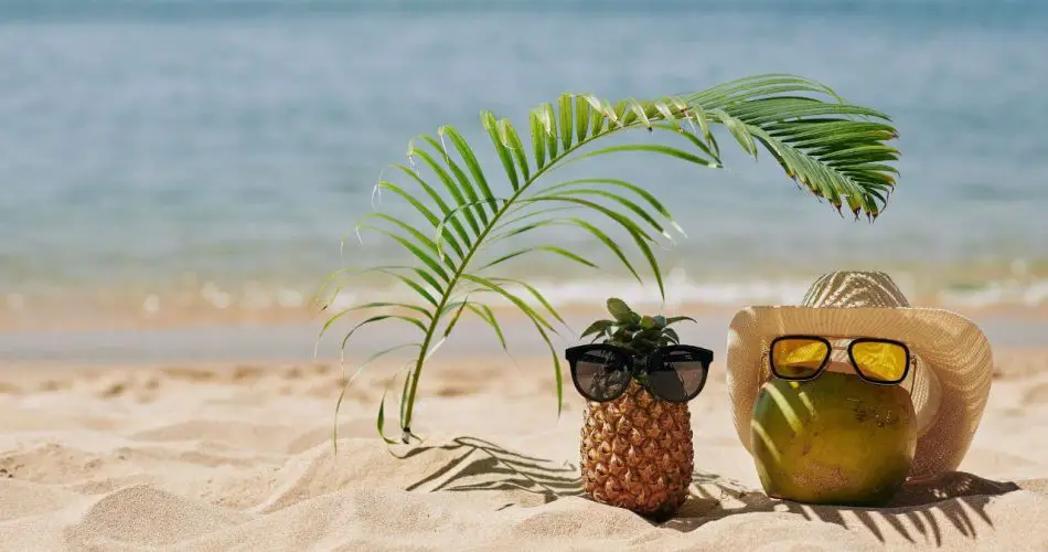 best summer side hustles